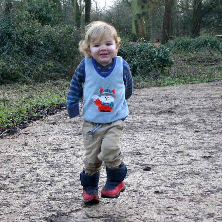 Nordic Fox Vest Pattern