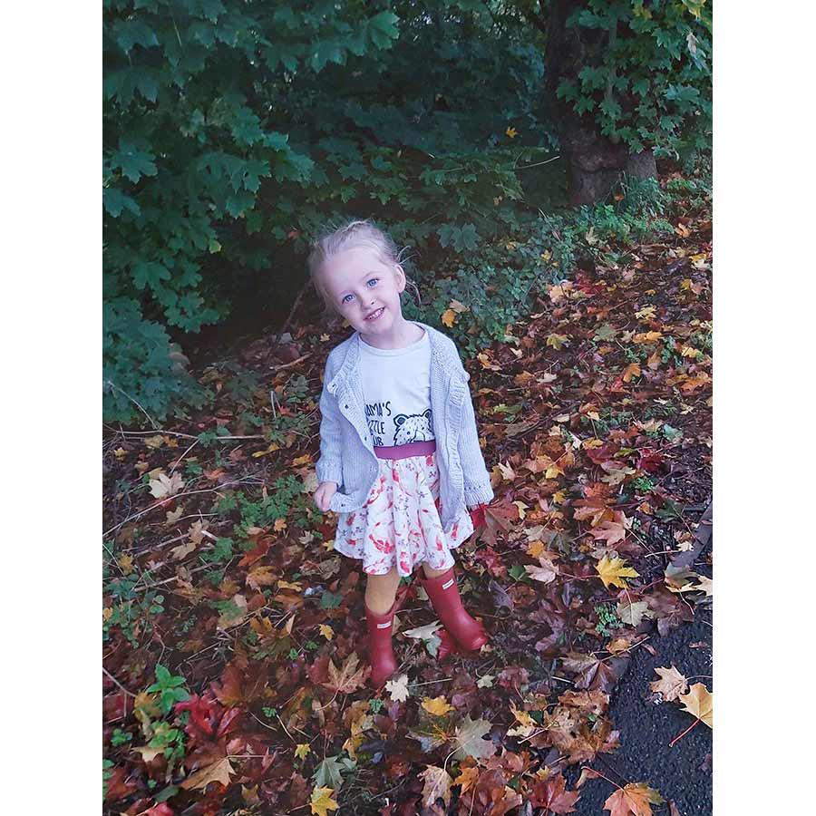 Butterfly Circle Skirt Pattern